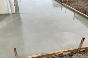 WhatsApp Image 2026-01-24 at 11.04.15