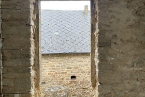 WhatsApp Image 2026-02-15 at 20.36.23